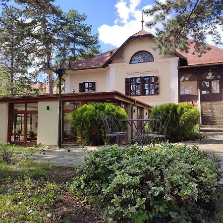 Imola Garden Vendeghaz Hotel Balatonfüred Buitenkant foto